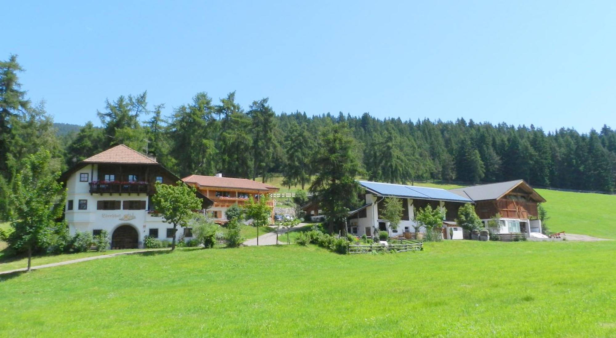 Laerchhof Villa Collalbo Bagian luar foto