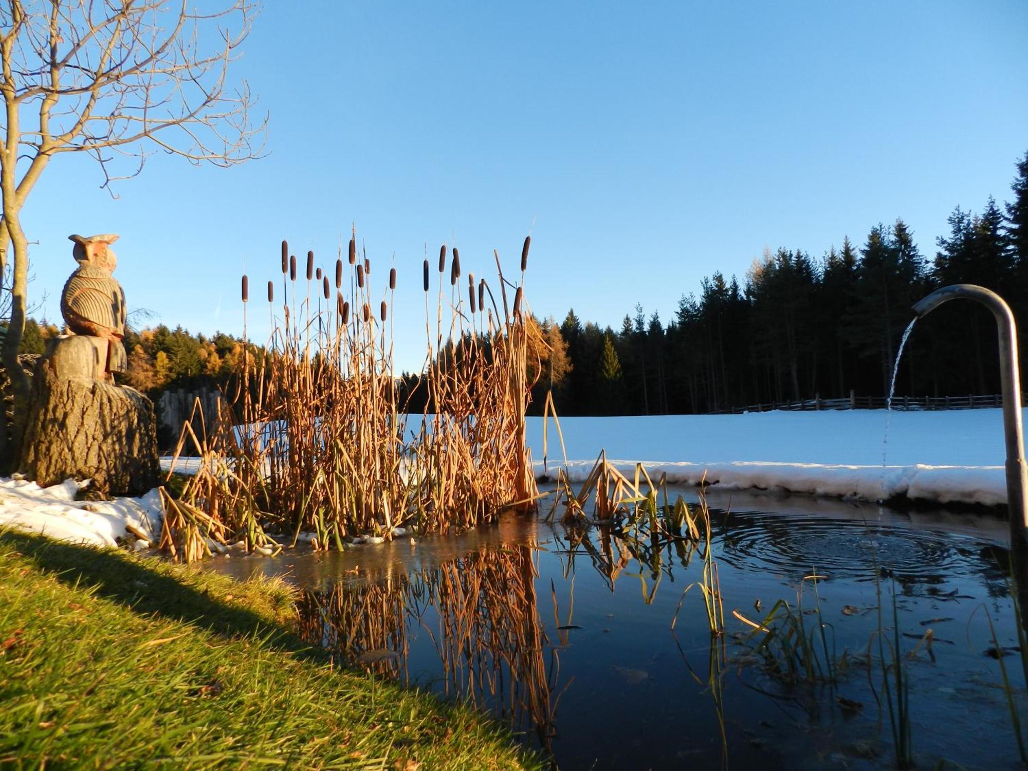 Laerchhof Villa Collalbo Bagian luar foto